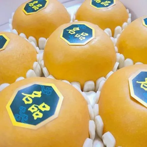 명품 나주배 신고배, 1박스, 햇나주배 7.5kg(선물세트 / 11-12과)