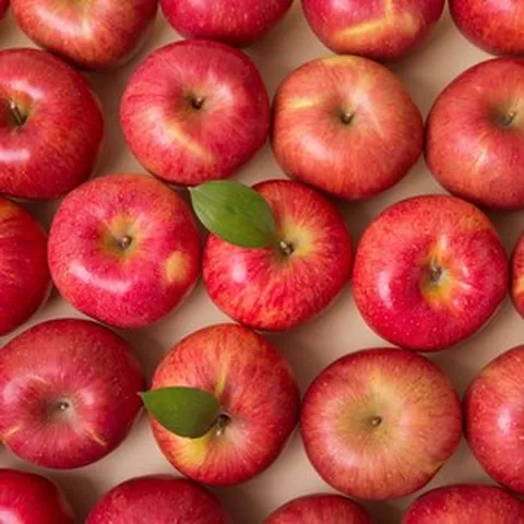 씻어나온사과 껍질채먹는사과 세척사과