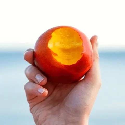 제철과일 천도복숭아 신비복숭아 복숭아제철, 1개, 신비복숭아 2KG 소과 (31-36과)