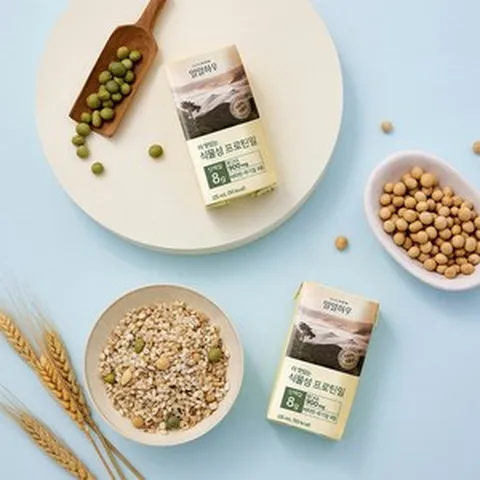 일일하우 더 맛있는 식물성 프로틴밀 125ml 24팩 단백질음료 BCAA 900mg / 단백질8g, 일일하우 더 맛있는 프로틴밀 125ml 24팩