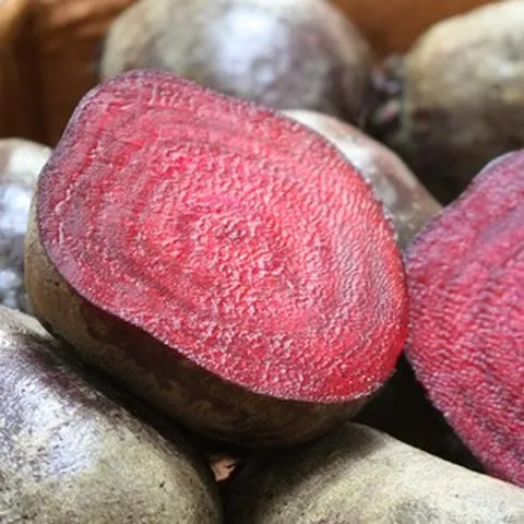 직거래농민장터 해남 제주 비트 국내산 레드비트, 4_레드비트3kg 특품, 1개