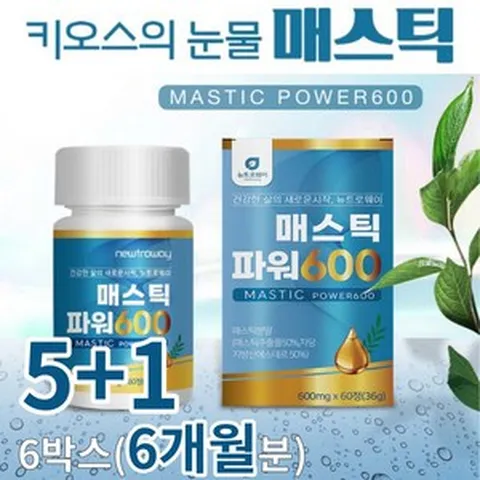 위건강엔 매스틱 6개월분 3개월분 1개월분 고함량 속편한 메스틱 매스틱 검 껌 가루 정 분말 정 60 120정 정제 알약형태, 5+1박스(6개월분), 6개, 60정