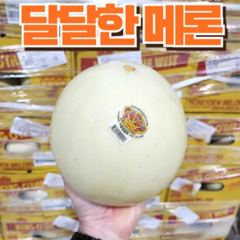 백호상단 초달달 허니듀멜론 미국산 메론, 1개, 허니듀메론 1수