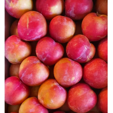 새콤달콤 후무사 추희 대석 자두 5kg (의성자두 김천자두), 1개, 추희 중과 자두 2kg