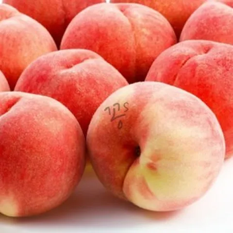 꽁S샵 백도 복숭아 2.5KG 10과 왕특 복숭아백도, 1개