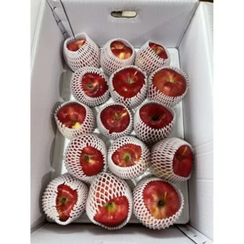 [홍로사과 5kg] 농장주 직배송 판매 OPEN *특가* [원산(국산) : 칠곡], 1박스, 12~14과 5kg