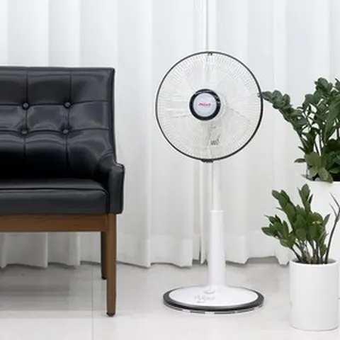 <2024 NEW> 신일 기본형 가정용 일반 스탠드 선풍기
