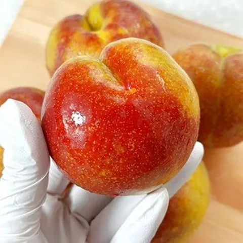 [침샘이 놀라는 벌꿀향] 대석자두 로열과, 1개, 2kg(로열대과)