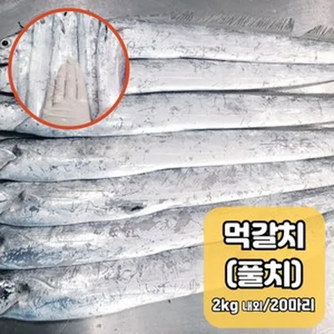 목포 먹갈치 풀치 손질 생물 젓갈용 조림용 8~9미(손질후 1.5kg) 17미 내외(손질후 2kg내외), 1박스, 14~20마리(젓갈용,2kg내외)