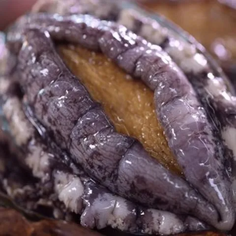 [파격할인][[해신수산]완도활전복 대 16~19미 1kg 산지직송(평일 오후 2시 당일출고), 1개, 추가안함