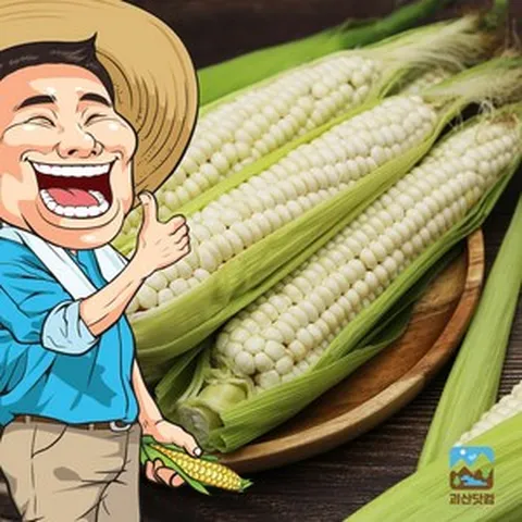 괴산닷컴 작목반장 괴산 대학 찰 옥수수 30개/박스포장/정말 맛있는 찰옥수수, 1개, 예약/괴산대학찰옥수수 30개(박스포장)