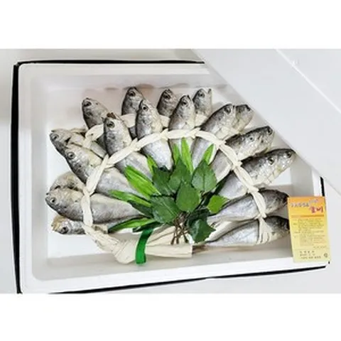 [왕후굴비] 대장대 20미 19~20cm 내외(약1.8kg), 1개