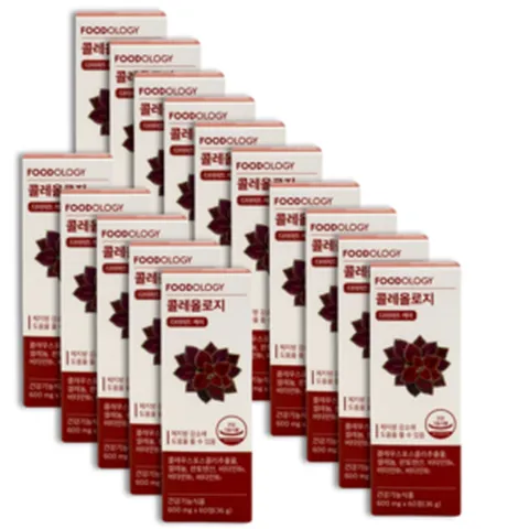 푸드올로지 콜레올로지 600mg 60정 15개 체지방 세포보호