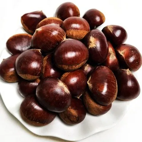 알밤 (특대) 1kg 2023년 햇밤 국내산 군밤용 밤 생밤 큰밤 (칼집X) 쪽빛누리, 1개