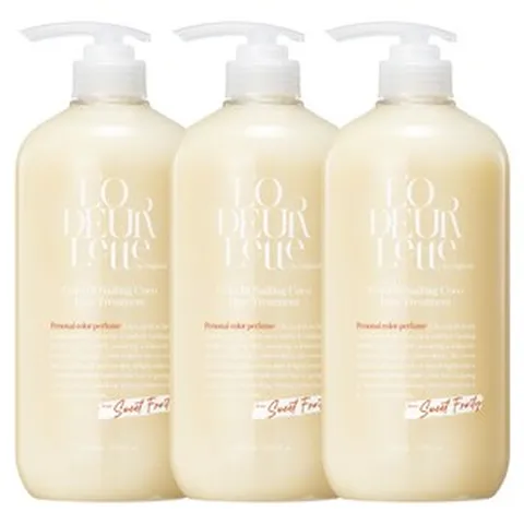 로더렛 컬러 핏 세일링 코코 헤어 트리트먼트 1000ml, 3개, 1L