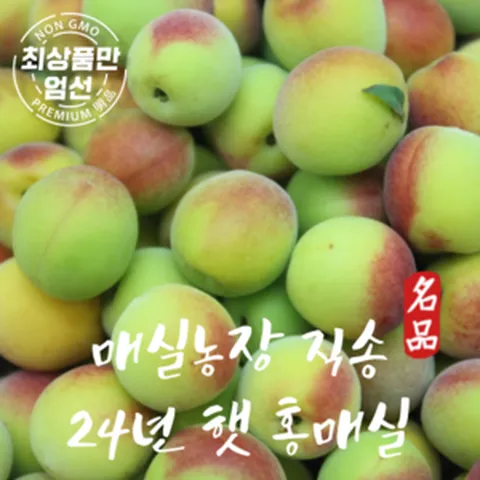 24년 수확한 매실 홍매실 황매실 매실농장 직송, 1박스, 홍매실 특대(33mm)5kg