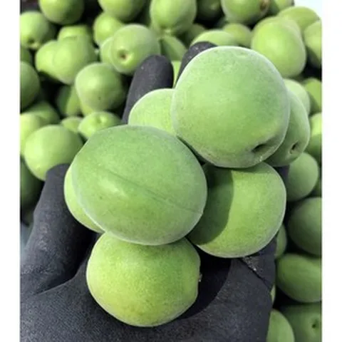 [원조품종] 누적판매1위 국내산 청매실 매실, 1개, 3KG(상)