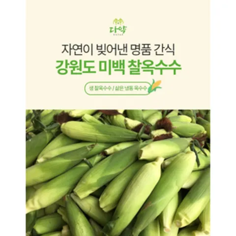강원도 찰옥수수 냉동 삶은 옥수수 미백 홍천 [ 원산지 :홍천 ], 20개, 삶은 냉동 찰옥수수 특17cm내외