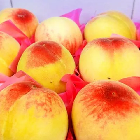 충북 영동 스마일농부네 백도 복숭아 첫출하 백도 로얄과 털복숭아, 1개, 1.25kg