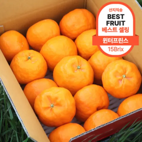 [상위 1% 명인] 고당도 제주 윈터프린스 신품종 감귤, 1박스, 2kg 내외