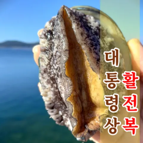 직거래 완도 활 전복, 1박스, 1kg 대전복(10~11미)