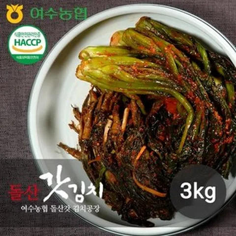 여수농협 [여수농협] 명품 전라도 여수 돌산 갓김치 3kg