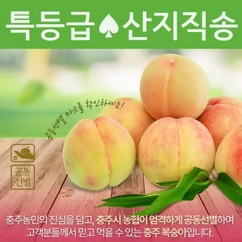 기타 2024 특등급하늘작 충주 복숭아 5kg(2.5kg2상자) 황도[산지직송], 1
