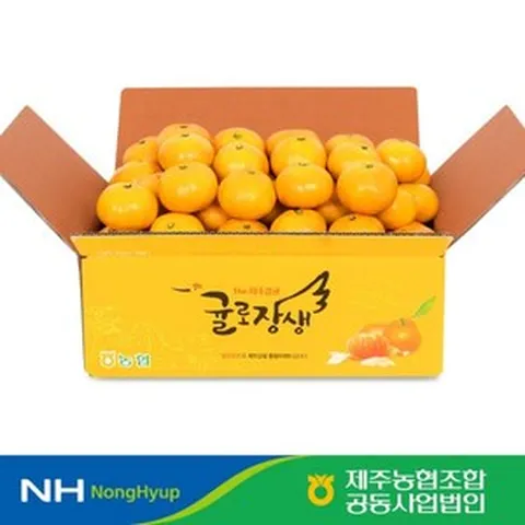 [쇼핑엔티] [제주농협] 귤로장생 하우스감귤 2.5kg, 없음, 1개