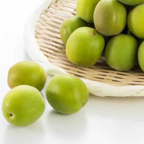 최상급 하동 광양 순천 청매실 황매실 홍매실, 1개, 특품 청매실(청/담금주용) 10kg 특대