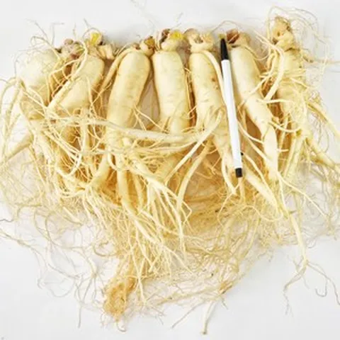 4~5년근 삼 인삼수삼 세척인삼 진공포장 원수삼 특대, (세척안함)원수삼 특대 7뿌리 750g, 1개