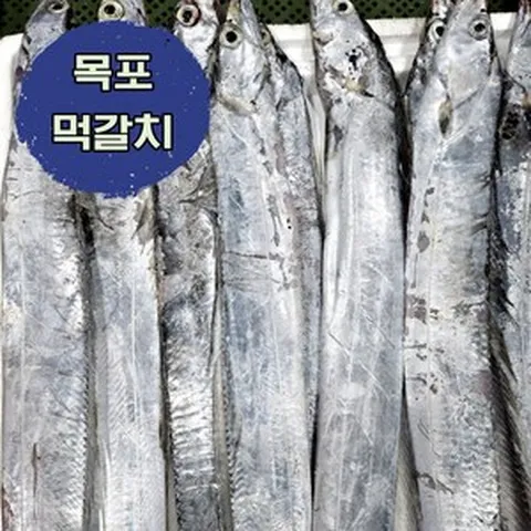 [목포 갈치] 손질 생물 먹갈치 6~8마리(손질후 1.4kg내외) 국내산 수산물, 2kg, 1개