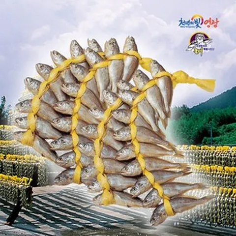 진품명품 영광 법성포 굴비 봄조기 참굴비 대장대 40 20마리 알뜰실속 국산 참조기 굴비구이 조림, 1개, 2.4kg (장대4호 17~18cm)