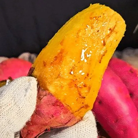 [재구매율1위] 국내산 베니하루카 꿀 고구마, 1박스, 옵션2. 1kg 대