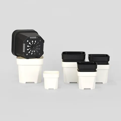 큐빅 사각 슬릿 화분 6호 다육 삽목 삽수 플라스틱