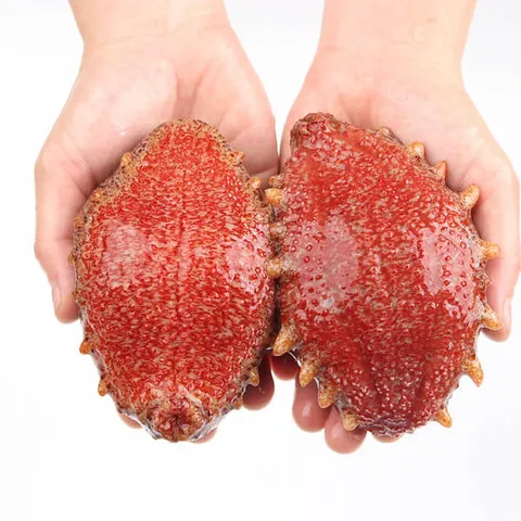 거제도 해녀 자연산 홍해삼 제철 해삼 회 1kg