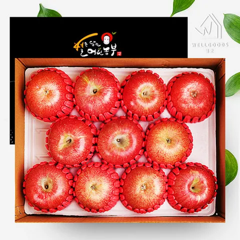 [웰굿]경북 정성담은 명품 사과선물세트 2.5kg(9과내)