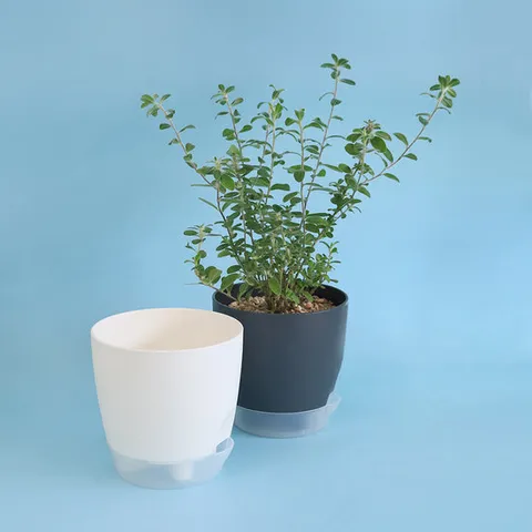 저면관수 물받이 에그화분 일체형 화분 플라스틱 인테리어 원형