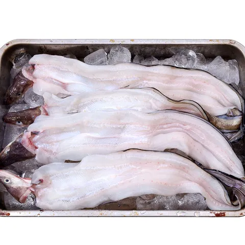 자연산 손질 바다장어 1kg(4~6미,손질후700g내외)