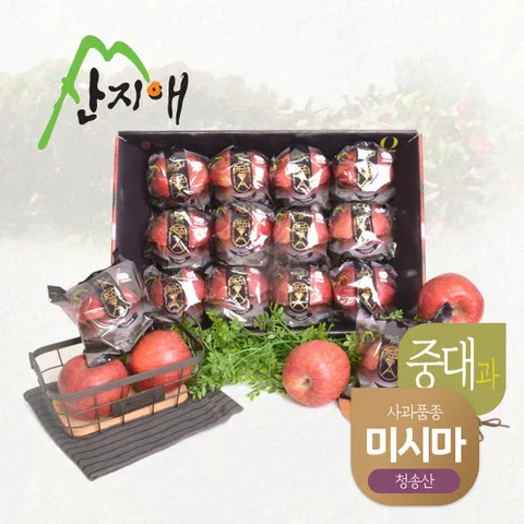 산지애 블랙라벨 사과 3kg (9~13과)