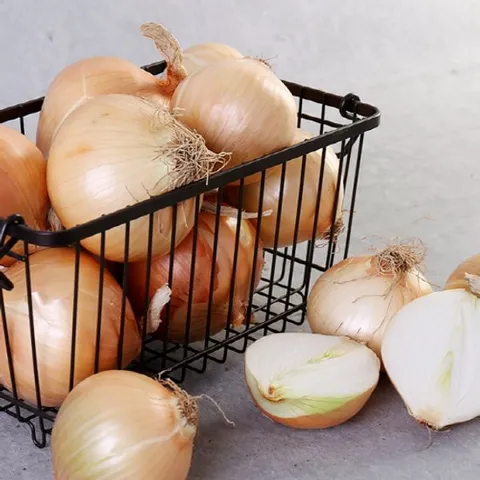 [산지직송]전남 무안 햇 양파 5kg (중)