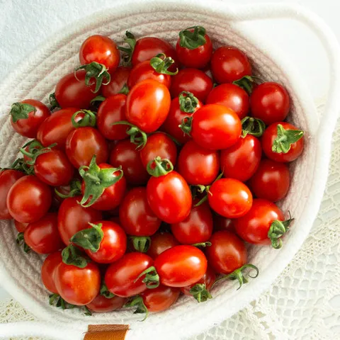 아삭 달달 대추방울토마토 2kg/1~2번과