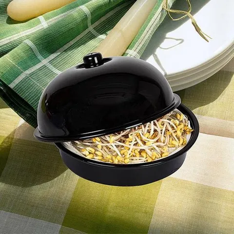 콩나물재배기 블랙