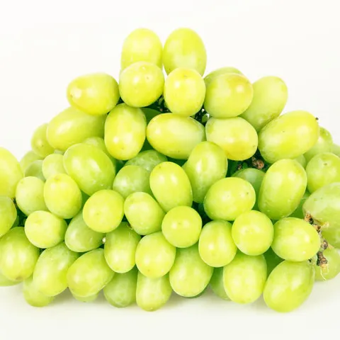 [팜쿡] 고당도 아삭 애플청포도 1kg x3팩