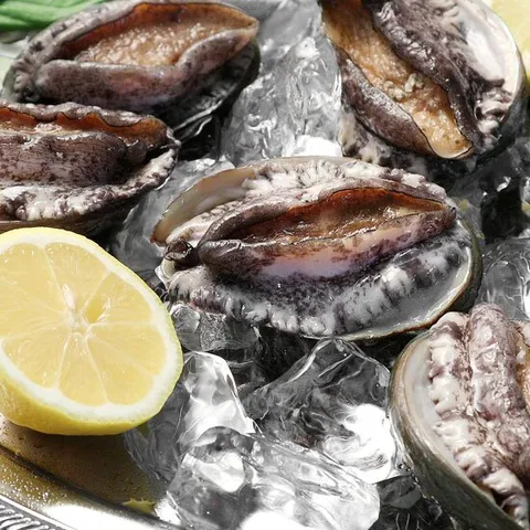 완도활전복 특대사이즈전복 15마리 [마리당 80g이상, 총 중량 1.20kg]