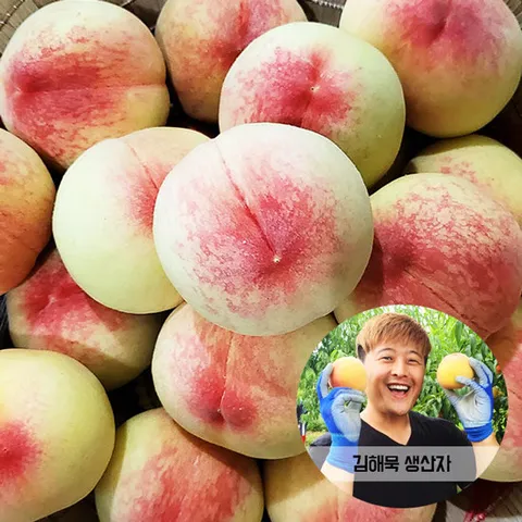 예천 럭피팜 부드러운 백도 복숭아 4kg 9-14과 과당 285g~445g