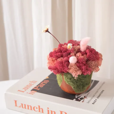 스칸디아모스 공기정화식물 화분 폼폼 set 15cm 4컬러 인테리어 천연 이끼 장식 소품