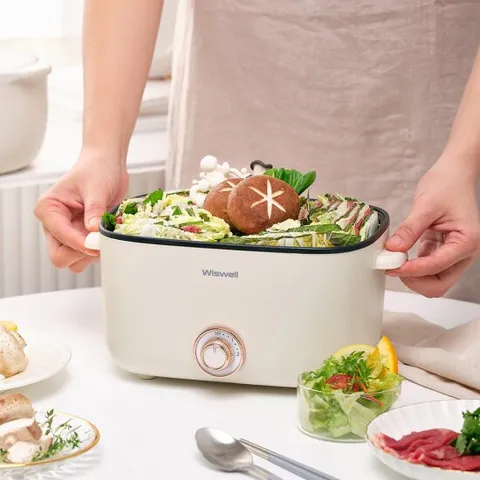 위즈웰 미니 쿠커 멀티 전기 냄비 그릴 찜기 WMG2025