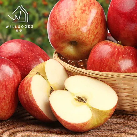[웰굿] 경북직송 가정용 부사 사과 3kg(10과내,대과)