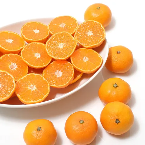 [오늘신선] 올해 수확한! 제주 햇 극조생 조생 감귤 2.5kg(프리미엄)