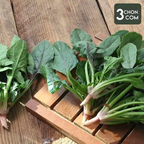 [삼촌밥먹자] 한기와 해풍을 이겨낸 연하고 달달한 보물섬 시금치 1kg